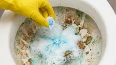 Toaleta bude zbavena močových kamenů za hodinu: rychlý způsob s tabletami do myčky nádobí