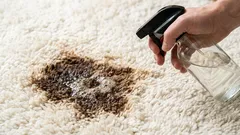 Skvrny a šmouhy z koberce zmizí beze stopy: snadný způsob bez chemického čištění