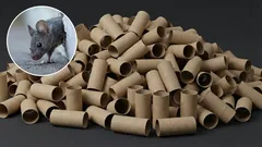  Jak se zbavit myší ve vaší domácnosti pomocí držáku na toaletní kartáč: účinná past vlastní výroby