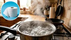 Nalil jsem vroucí vodu na toaletní papír a vyřešil tak problém, který má většina rodin.