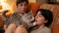 Jak poznat, že jste kočku rozmazlili: nedopouštějte se těchto chyb!