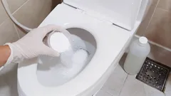 Záchod se zbaví vodního kamene a rzi bez námahy za 15 minut: způsob, který nevyžaduje řemeslníka ani vysoké náklady
