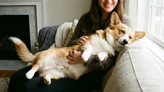 Proč váš pes nemá rád objetí a jak to hned poznat